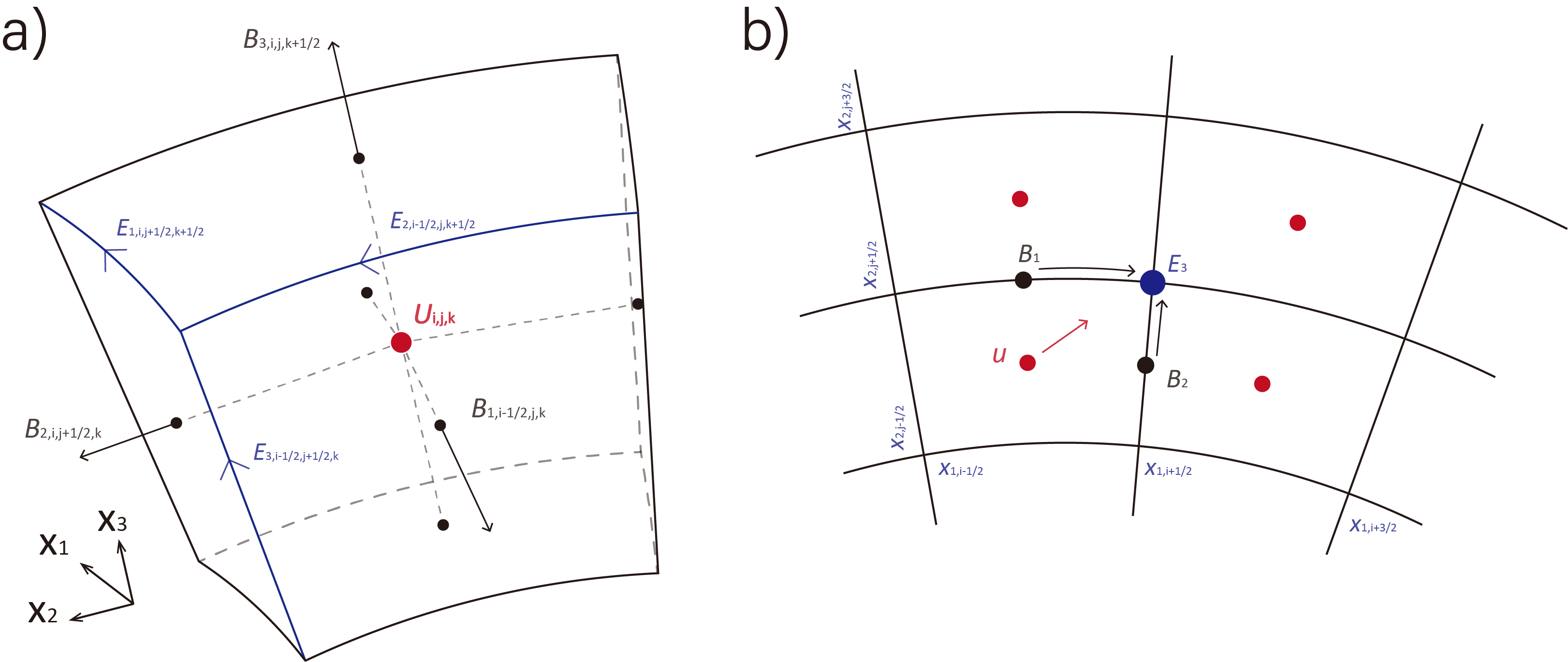 GAMERA-OP grid and field-variable arrangement